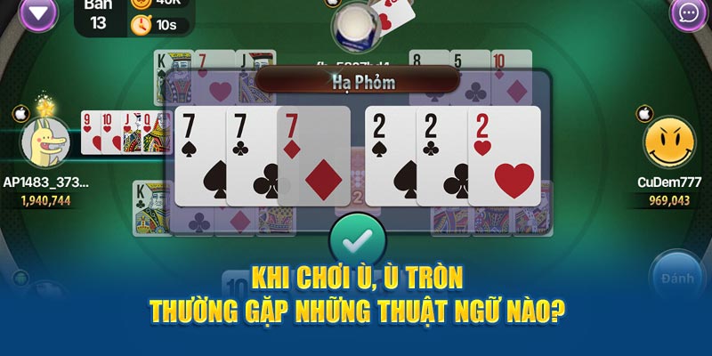 Khi chơi ù, ù tròn thường gặp những thuật ngữ nào? 